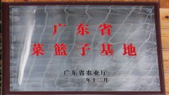 企業(yè)資質(zhì)三